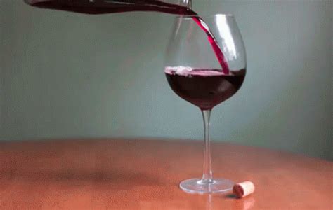 Wine gif. Things To Know About Wine gif. 